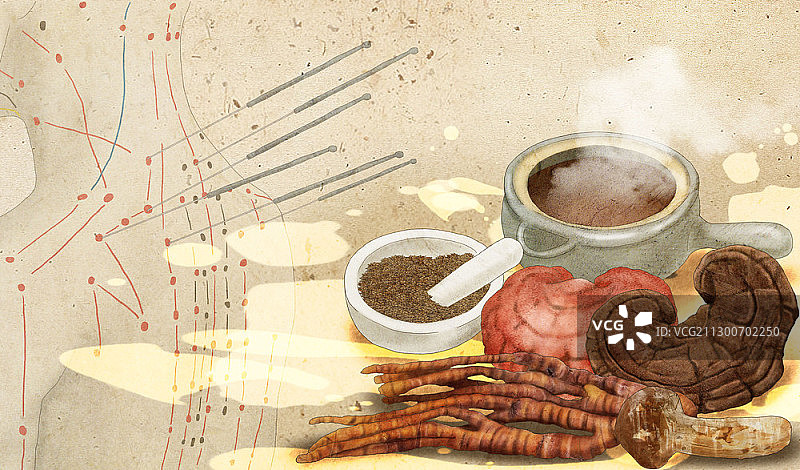 穴位与蘑菇中药材图片素材