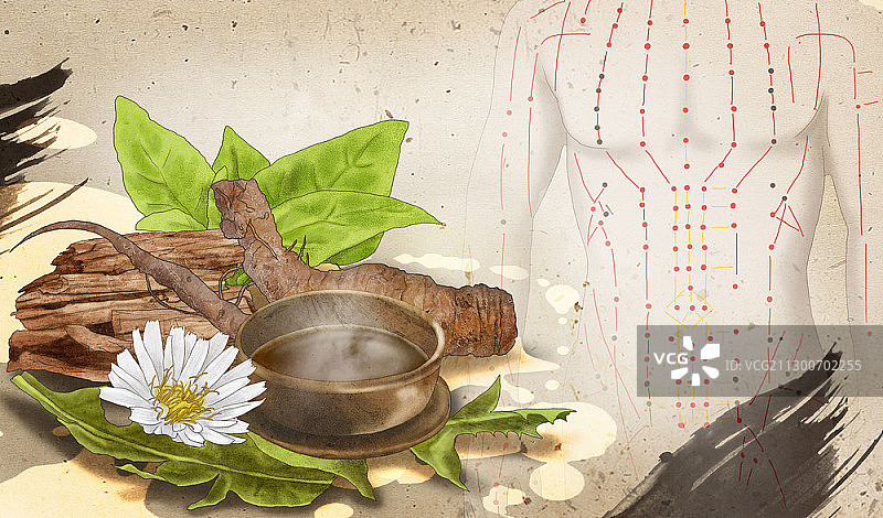 草药配料和人体穴位图片素材