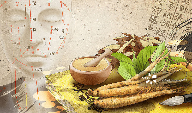 草药成分和面部穴位图片素材