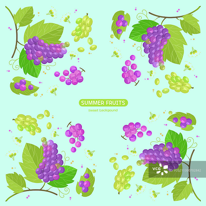 葡萄水果图案背景图片素材