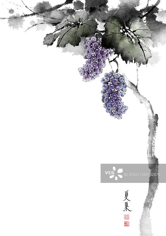 葡萄藤水墨画图片素材