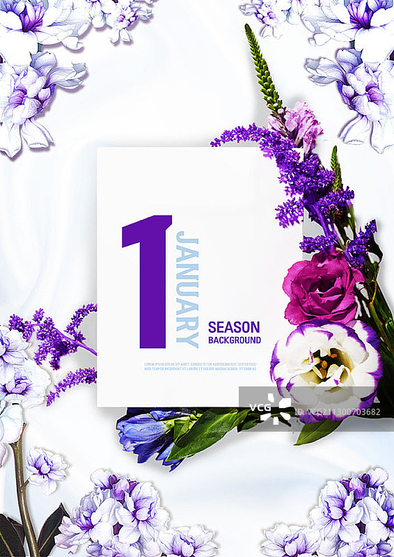 薰衣草和紫色花朵的一月花卉背景图片素材