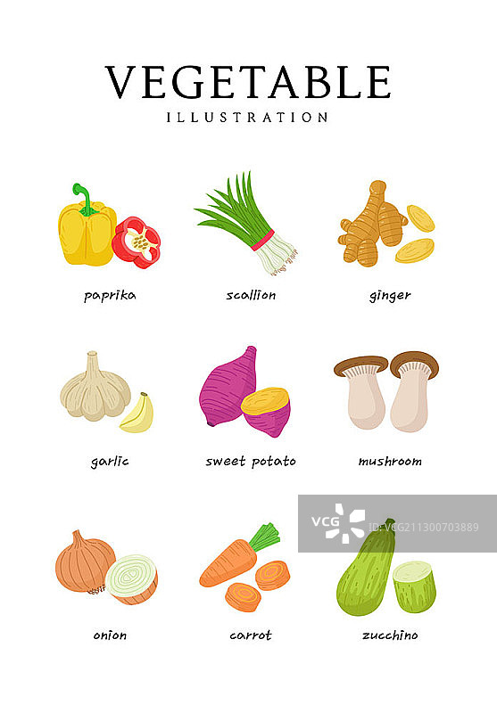 蔬菜矢量插画图片素材