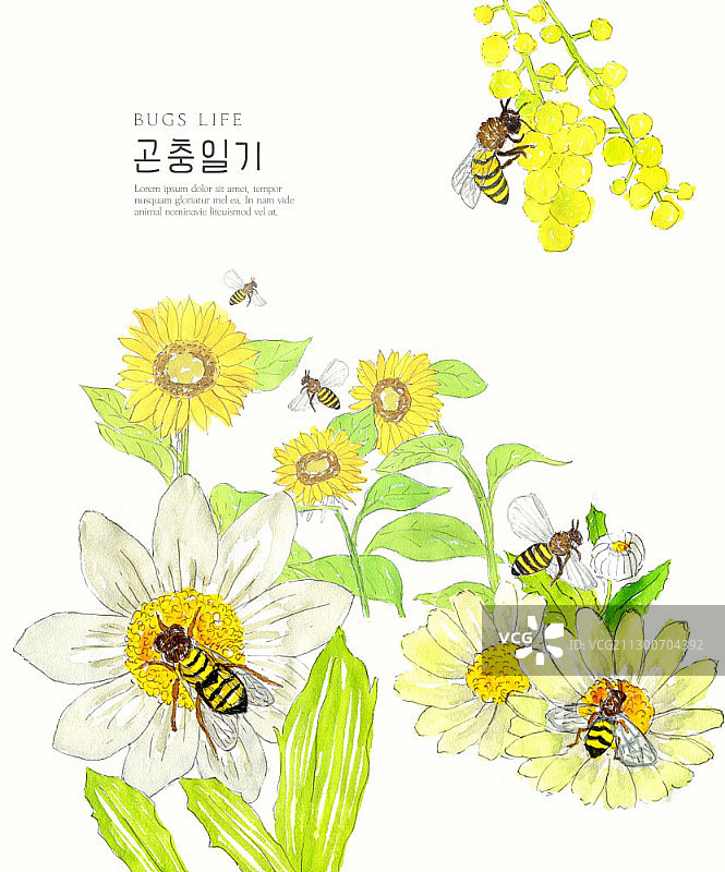 黄色花朵与蜜蜂图片素材