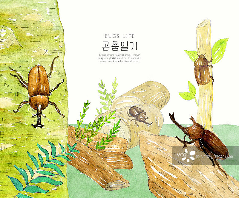 犀牛甲虫和老树图片素材