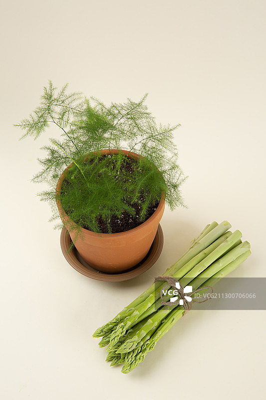 新鲜绿色芦笋特写053图片素材