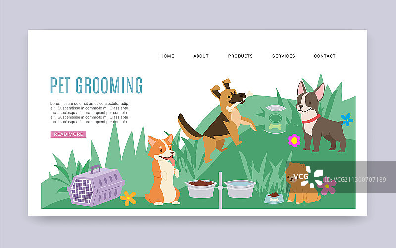 宠物美容服务与保健产品图片素材