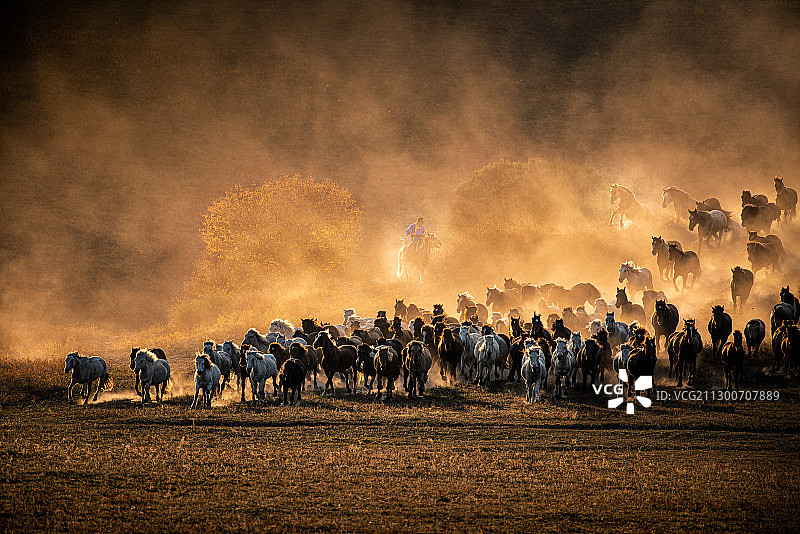 万马奔腾图片素材