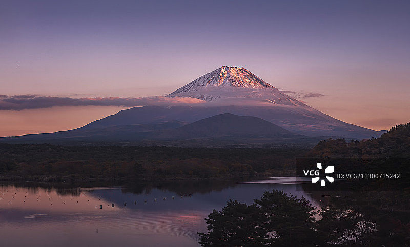 2019年11月富士山精进湖黄昏日照金山图片素材