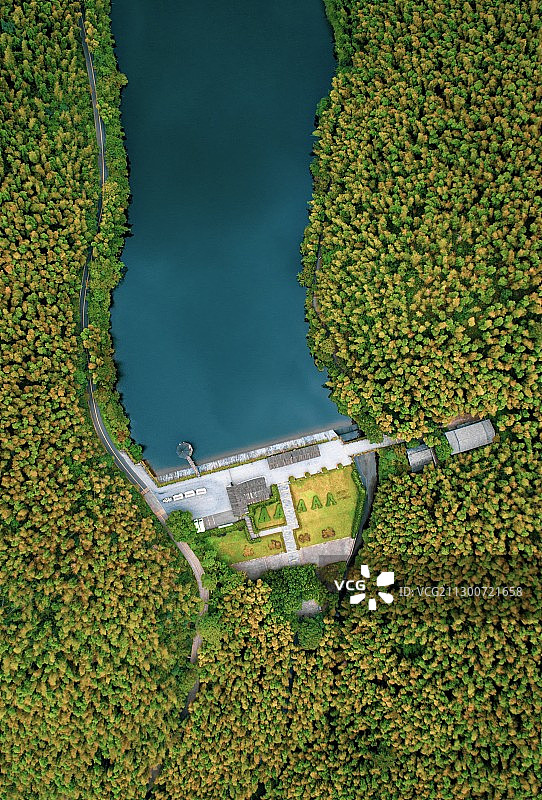 南山竹海图片素材