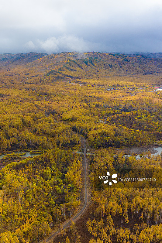 深秋时节的呼伦贝尔莫尔道嘎国家森林公园图片素材