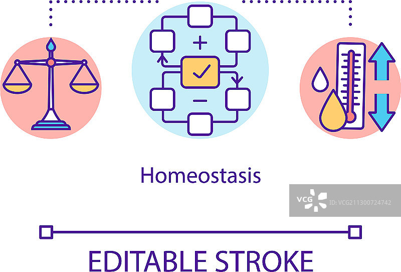 生物体内稳态调节概念图标图片素材