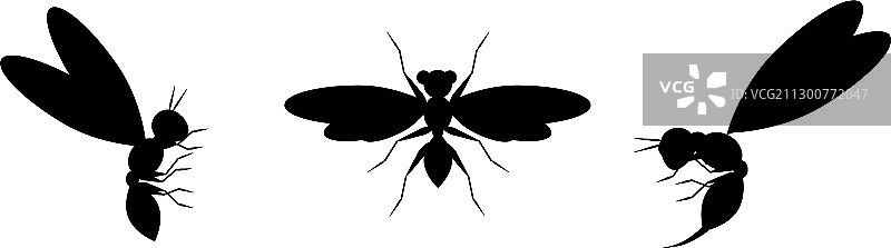 白色背景上的黄蜂黑色剪影图片素材