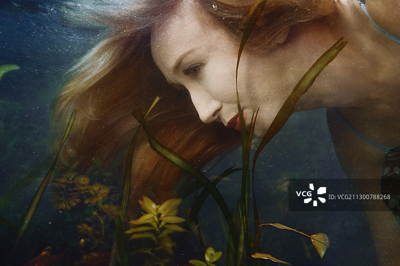 水下美丽的美人鱼图片素材