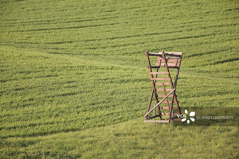 田野里凸起的躲藏点图片素材