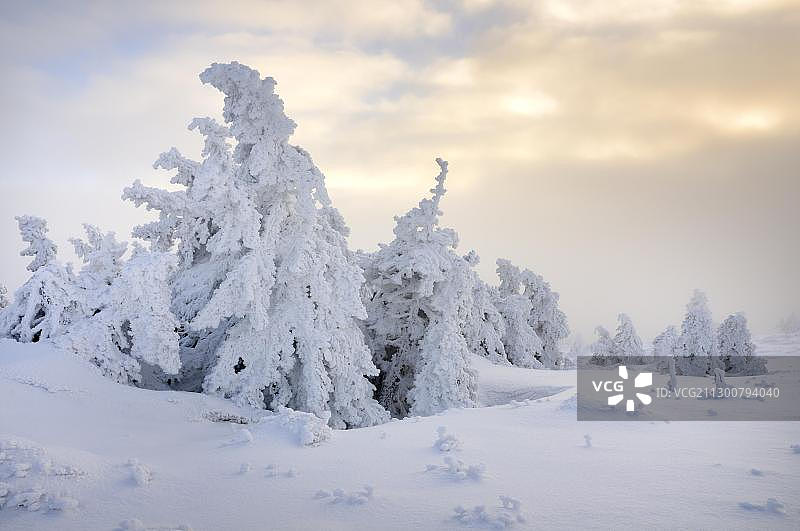 德国萨克森-安哈尔特州布罗肯山冬季景色图片素材