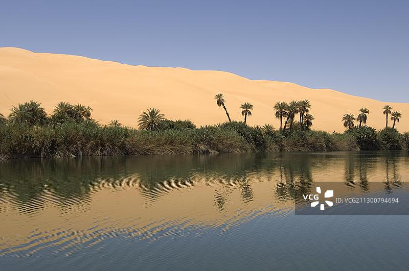 83393056图片素材