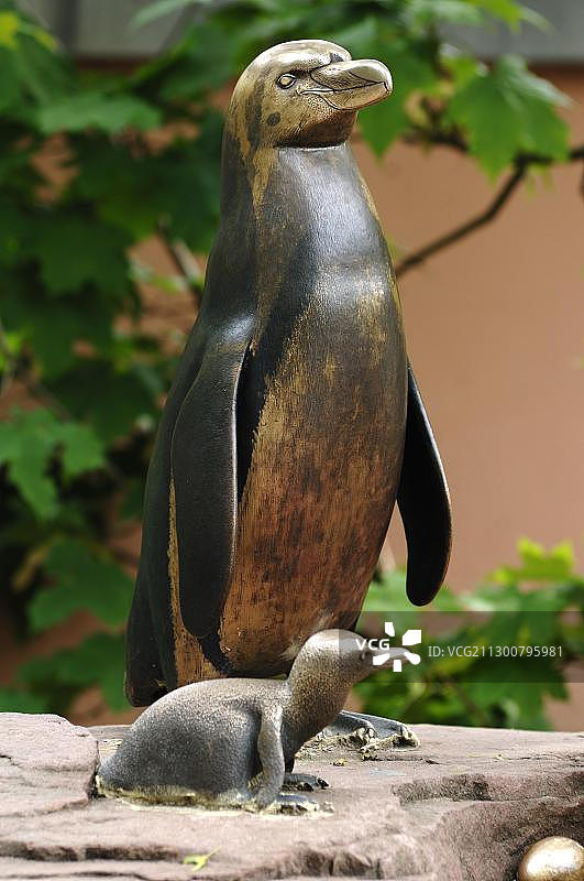 德国纽伦堡动物园洪堡企鹅青铜雕塑图片素材