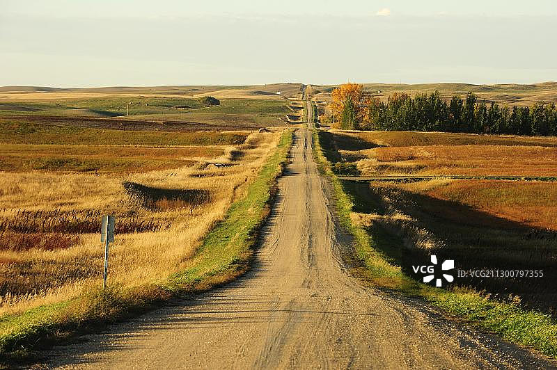 穿过萨斯喀彻温省大草原的笔直道路图片素材