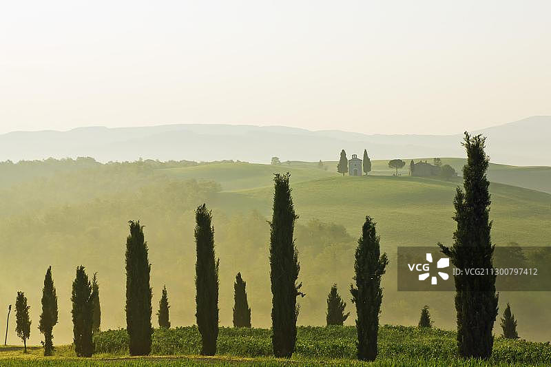 意大利托斯卡纳：瓦尔道尔恰晨雾中的柏树图片素材