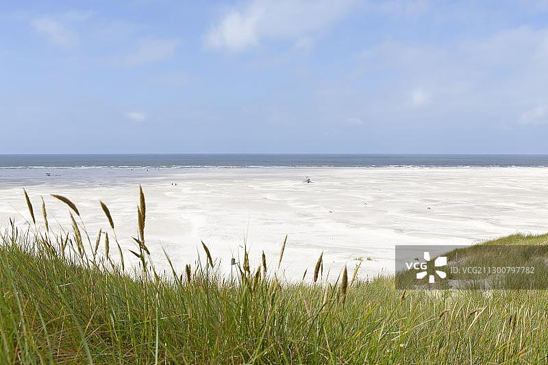 克尼普桑沙洲与沙丘，阿姆鲁姆岛，北弗里斯兰，石勒苏益格-荷尔斯泰因州，德国，欧洲图片素材