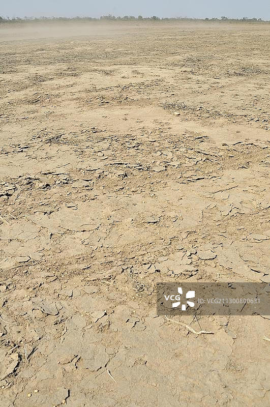 阿根廷萨尔塔省格兰查科地区的土壤风蚀图片素材