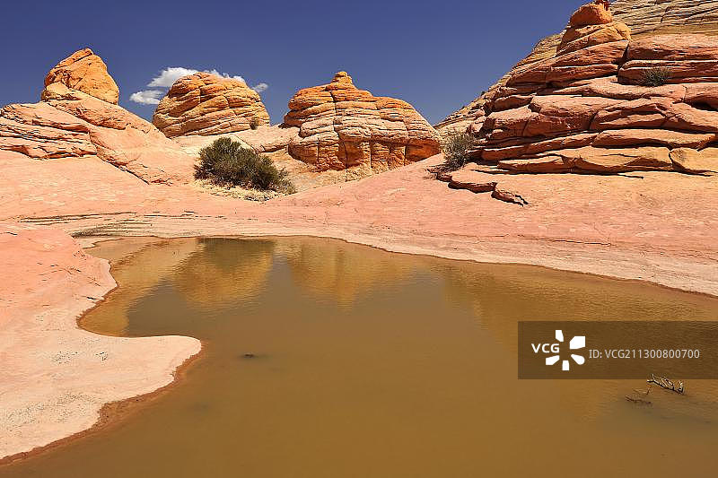 岩石大脑和雨水池，顶部岩石，波浪砂岩地层南入口，北郊狼丘，帕里亚峡谷，朱红悬崖国家纪念碑，亚利桑那州，犹他州，美国，北美图片素材