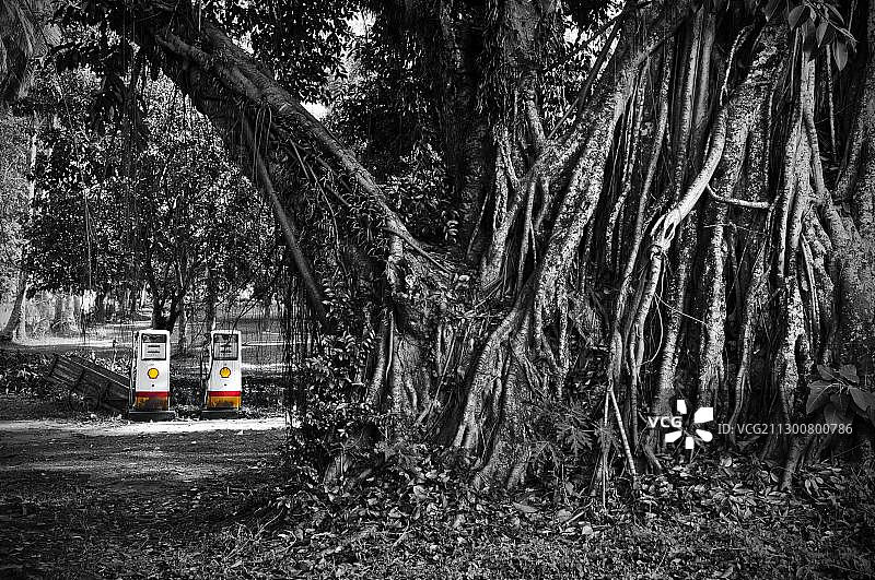 老挝琅勃拉邦附近丛林中的壳牌石油加油站，东南亚，亚洲图片素材