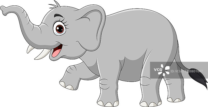 卡通大象，白色背景图片素材