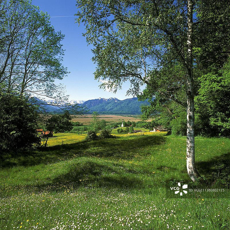 从慕尔瑙沼泽眺望慕尔瑙、拉姆萨赫教堂和埃恩德尔宾馆，德国巴伐利亚州上巴伐利亚图片素材