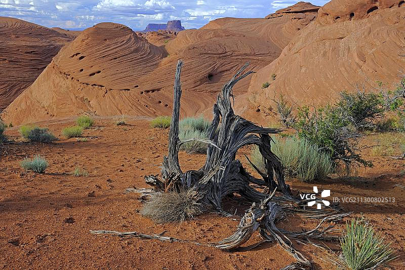 美国亚利桑那州神秘谷的红色砂岩典型景观图片素材