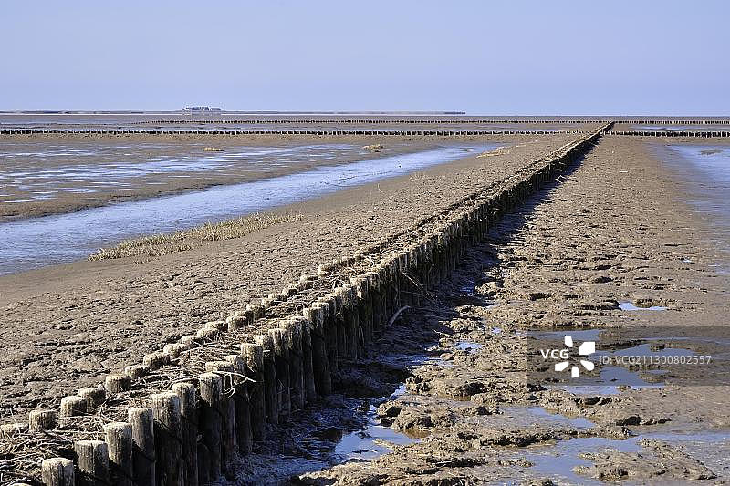 瓦登海沿岸景观：格罗宁根、朗格内斯岛，北海海岸，德国石勒苏益格-荷尔斯泰因瓦登海国家公园图片素材