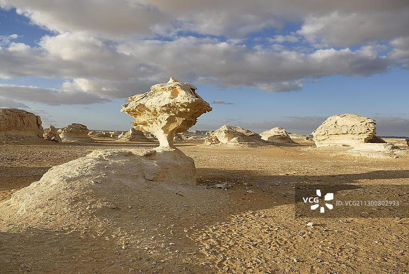 埃及撒哈拉白色沙漠的蘑菇状石灰岩图片素材