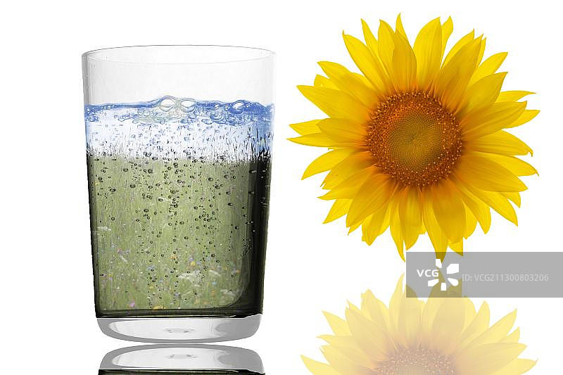 水杯、向日葵自然主题插画图片素材