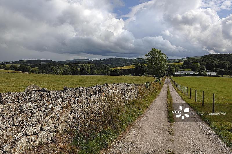 通往农场的土路，花岗岩石墙，英国康沃尔郡惠顿唐附近图片素材