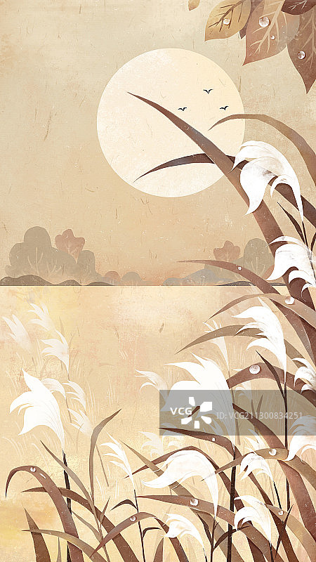 寒露节气插画图片素材