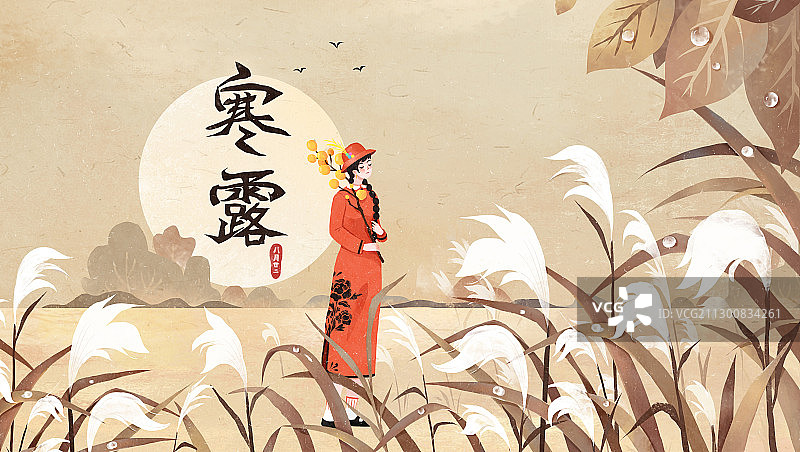 寒露节气插画图片素材