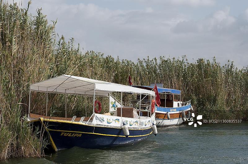 土耳其达利扬泻湖中的船只图片素材