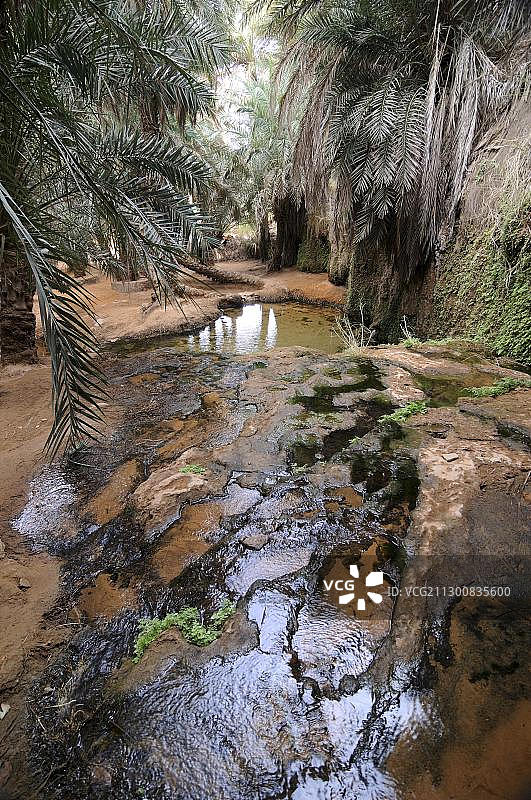 廷尔吉特绿洲，近毛里塔尼亚阿塔尔，非洲西北部图片素材