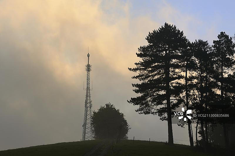 奥地利下奥地利州特里斯廷山谷里斯贝格的奥地利松树和清晨薄雾中的传输桅杆图片素材