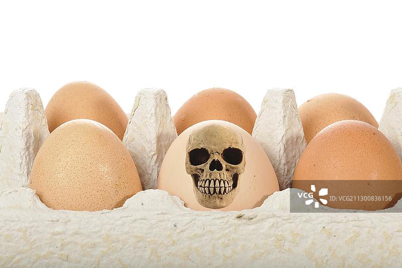 骷髅、鸡蛋，受污染食品、二恶英、动物饲料丑闻的象征图像图片素材