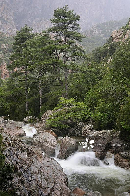 斯佩伦卡峡谷，科西嘉岛，法国，欧洲图片素材