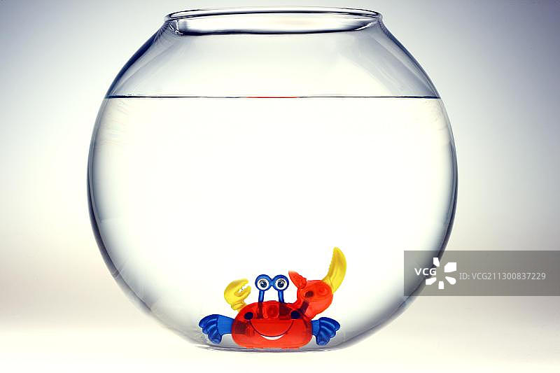 鱼缸里咧嘴笑的发条玩具螃蟹插画图片素材
