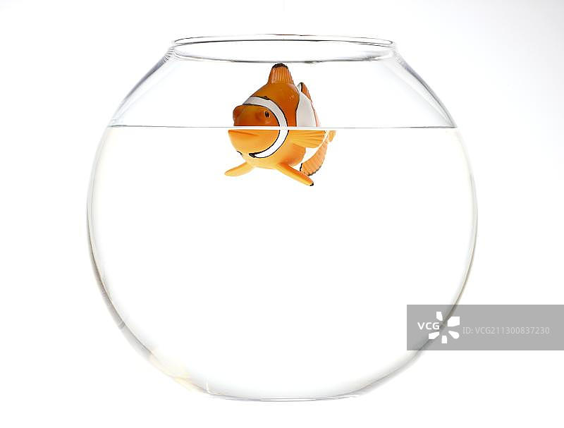 鱼缸里的玩具小丑鱼，插图图片素材