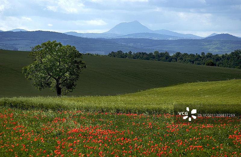 多姆山，法国奥弗涅的火山图片素材