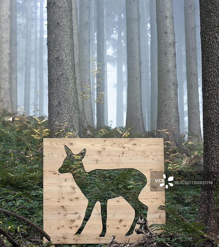 德国巴伐利亚阿尔高森林中的小鹿木制模板图片素材