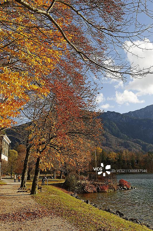 科赫尔湖畔，近德国上巴伐利亚科赫尔图片素材