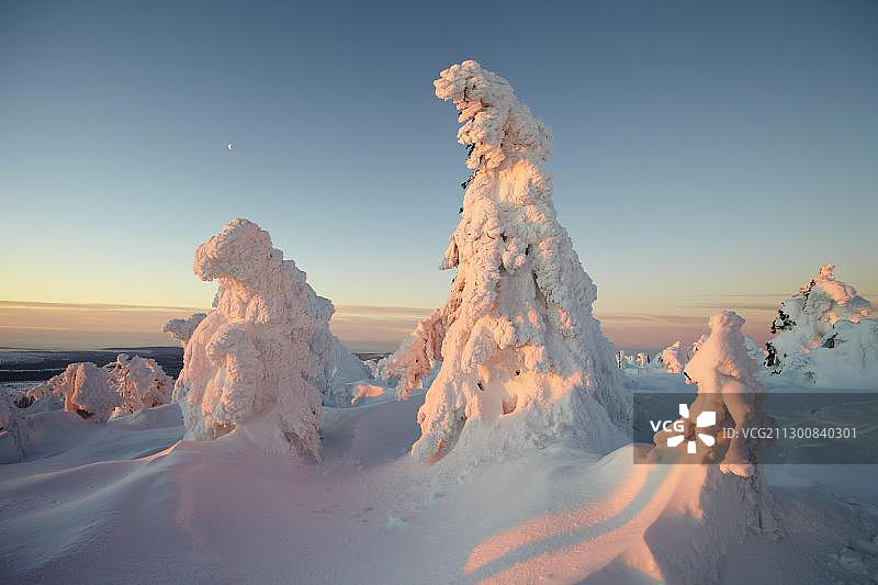 德国萨克森-安哈尔特州布罗肯山的冬日清晨图片素材