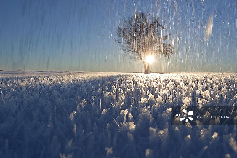德国黑森林绍因斯兰山雪景的傍晚光线图片素材