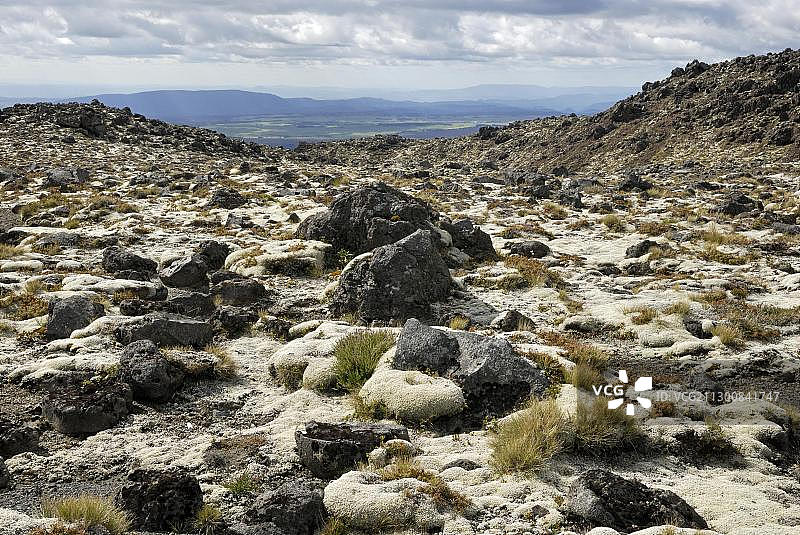 鲁阿佩胡山被苔藓覆盖的火山岩，新西兰图片素材